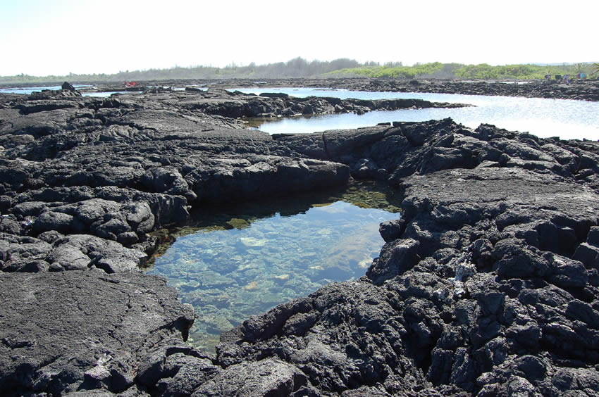 Small Tide Pools