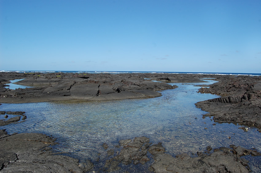 Sunny Day at the Tide Pools