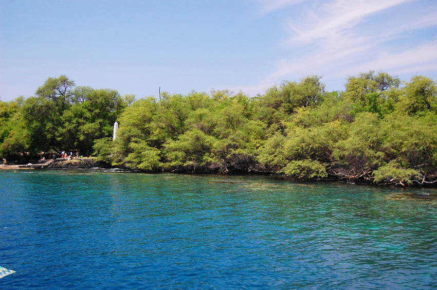 Bay Is Marine Life Conservation District