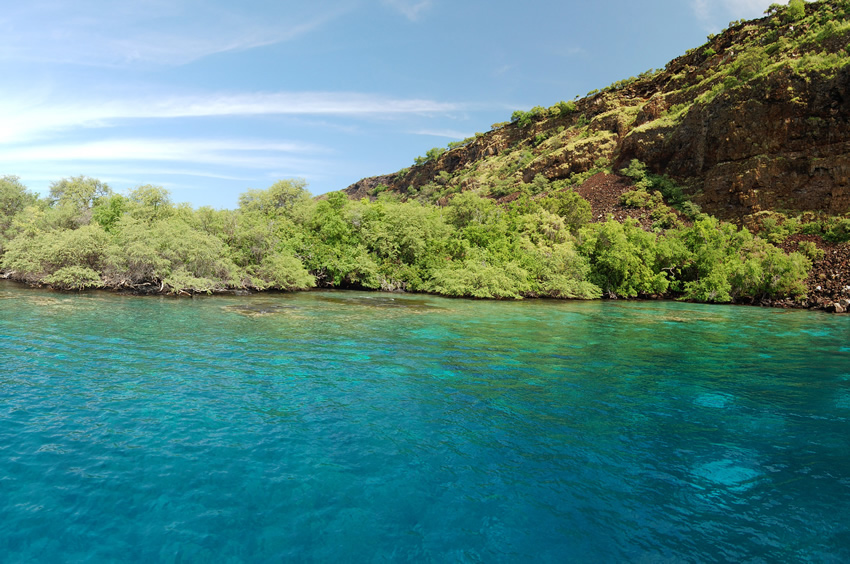 Best Beach for Snorkeling in Hawaii