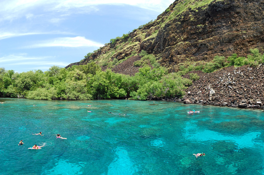Excellent Snorkeling and Diving