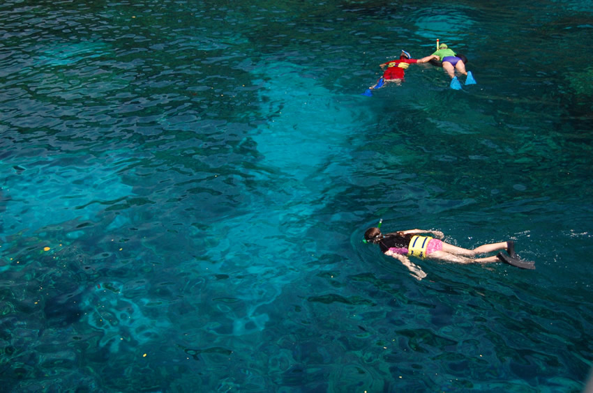 Kealakekua Bay Snorkeling 1