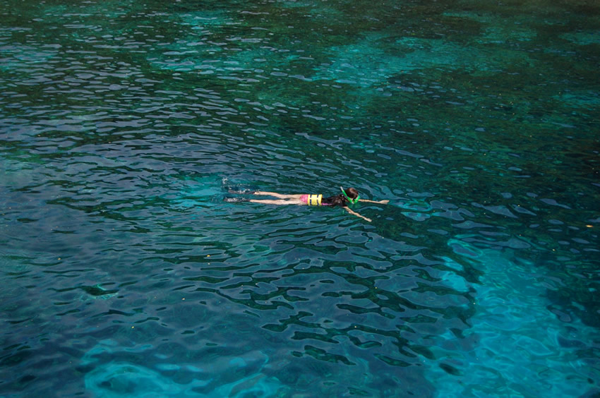 Kealakekua Bay Snorkeling 2