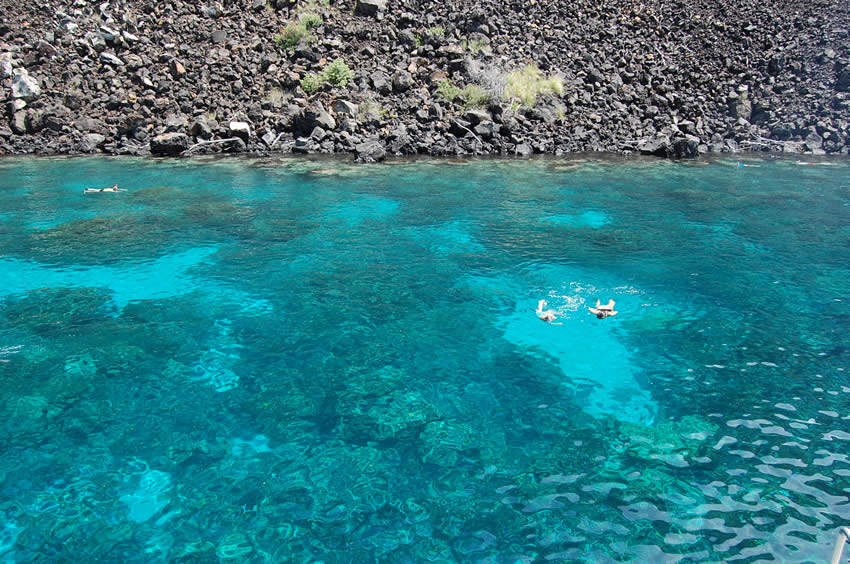 Kealakekua Bay Snorkeling 3