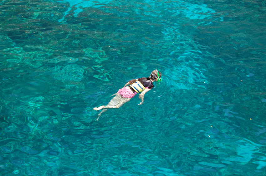 Kealakekua Bay Snorkeling 4