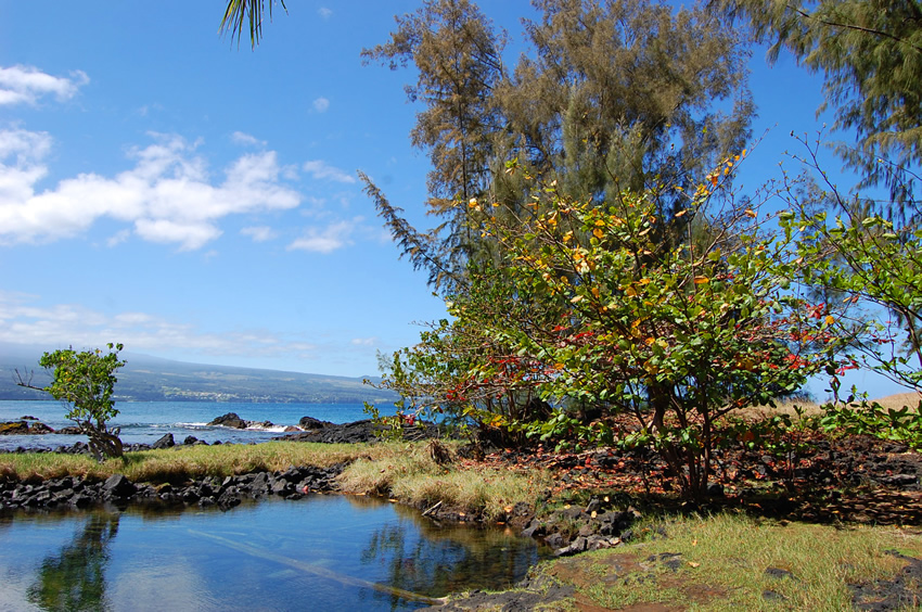 Park in Hilo