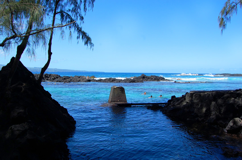 View from a Shady Picnic Area