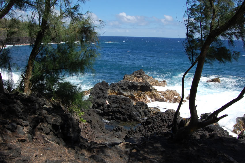 View from the Hiking Trail