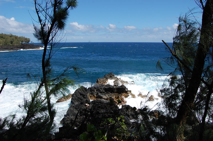 View from the Hiking Trail2