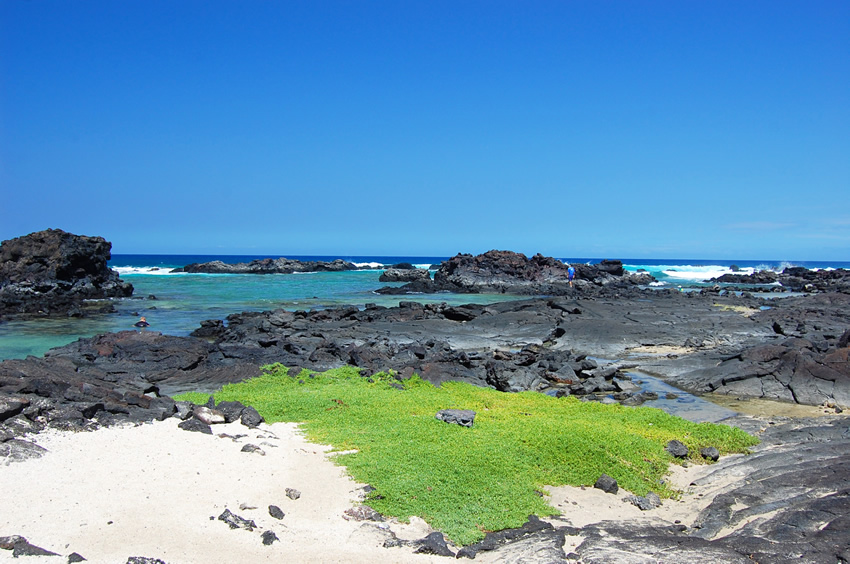 Scenic Shoreline 1