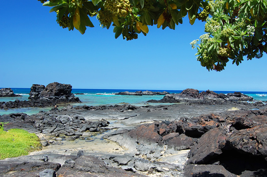 Scenic Shoreline 3