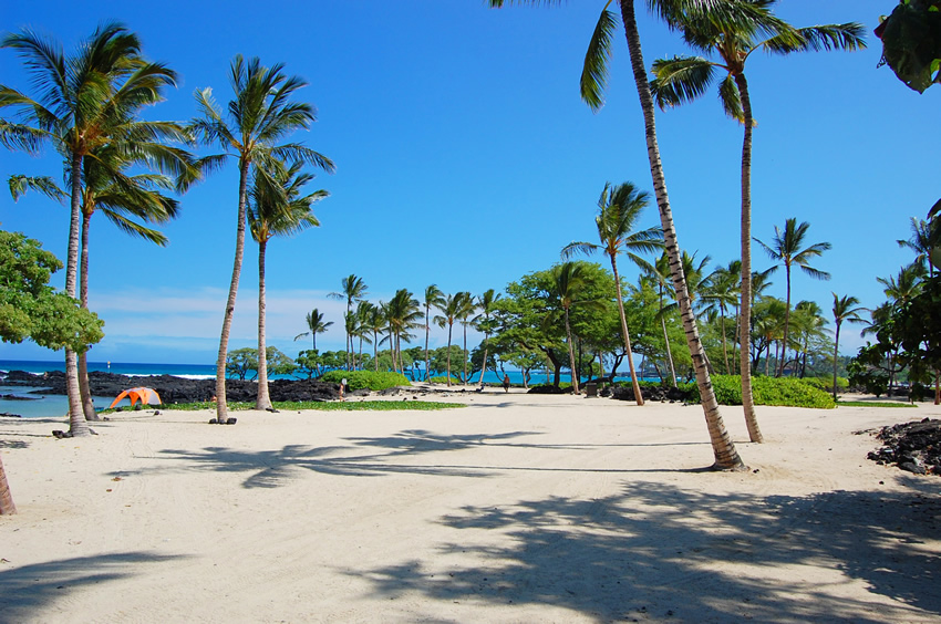 Tropical Park