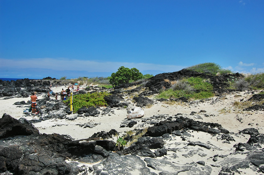 Backshore