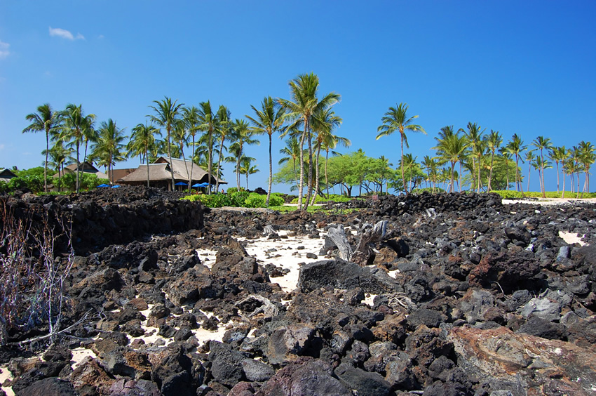 Ancient Hawaiian Lava Rocks