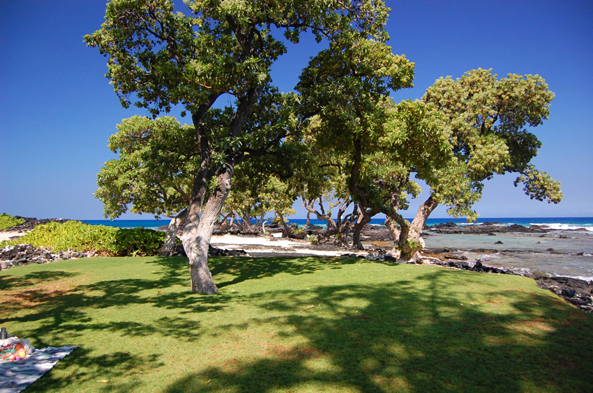 Scenic Beach Park 2