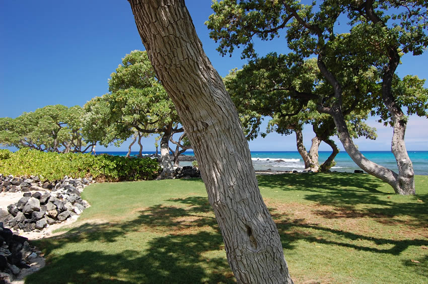 Scenic Beach Park 3
