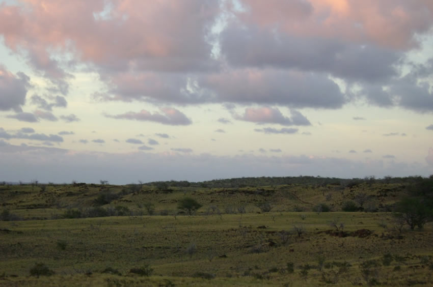 Sunset Clouds