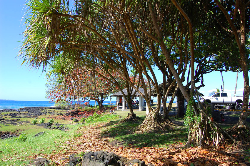 Picnic Pavilions in the Park