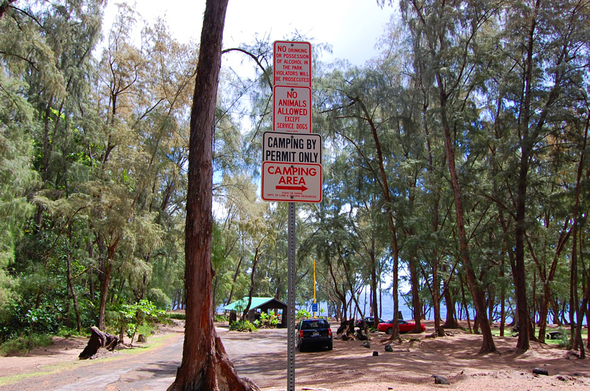 Camping Area