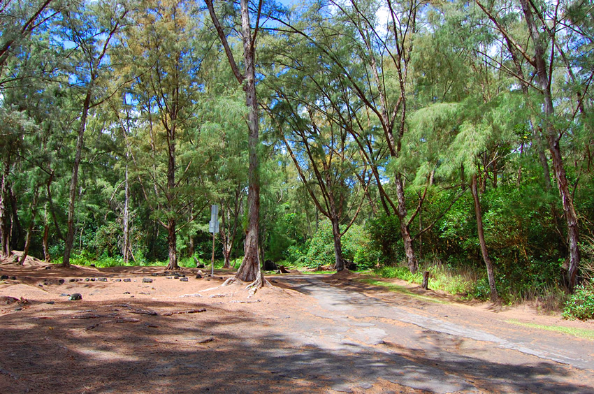 Camping Area2