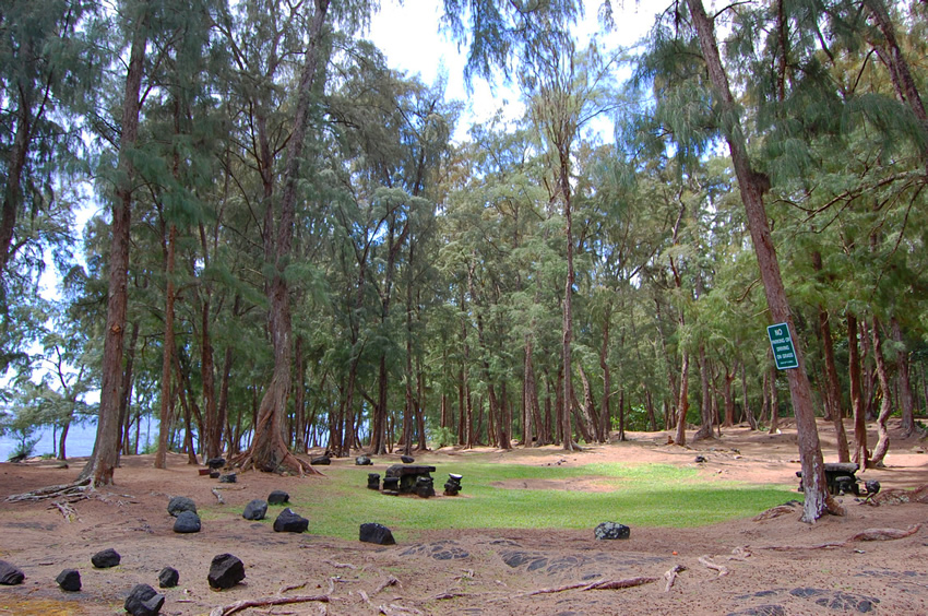Scenic Park