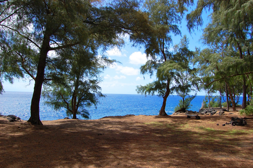 Sunny Day in Puna