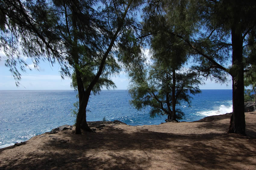 View to the Crystal Clear Ocean