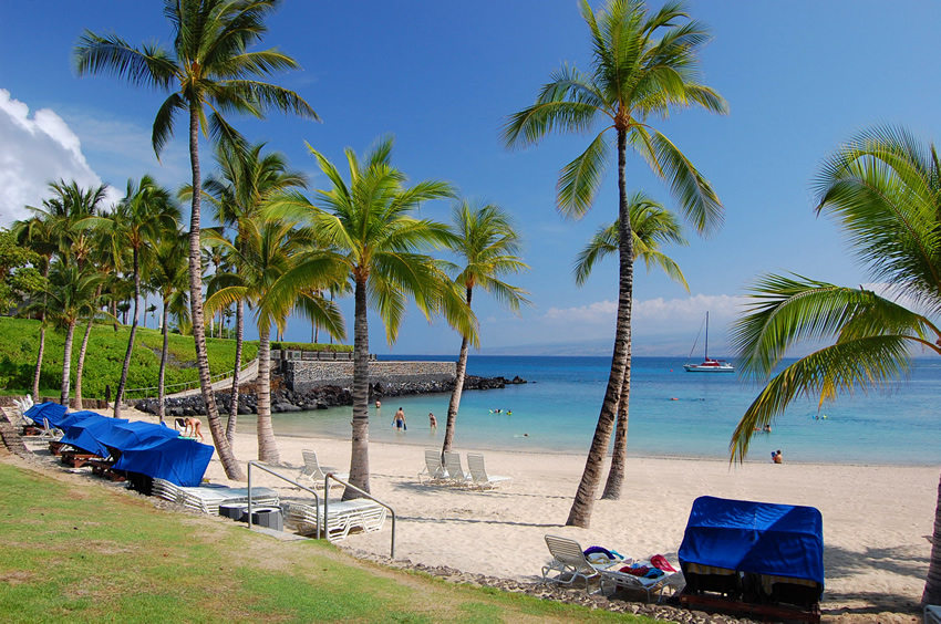 Tropical Paradise