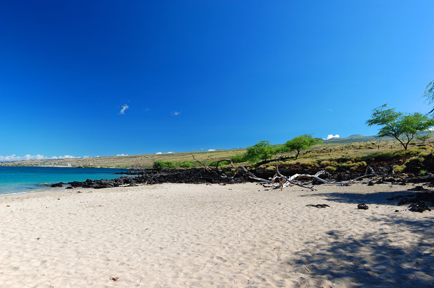 Scenic and Secluded
