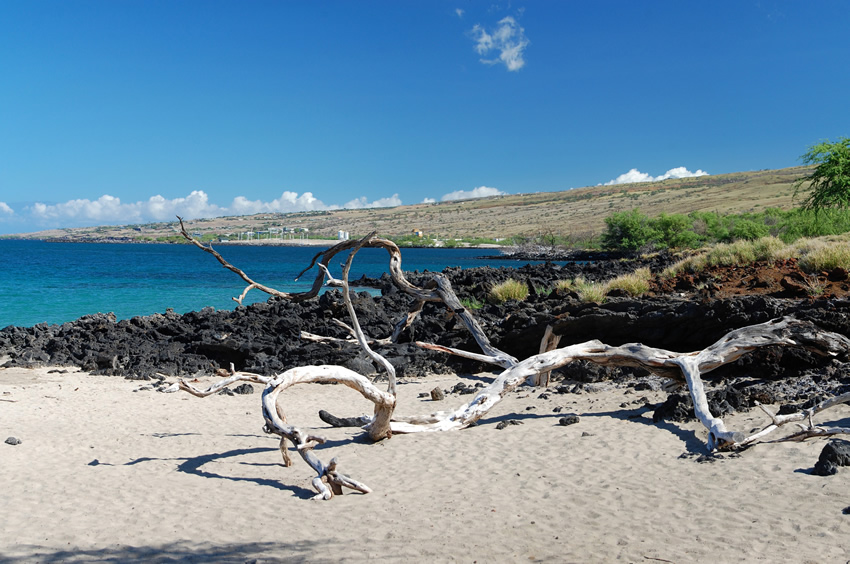 Scenic Kohala Beach