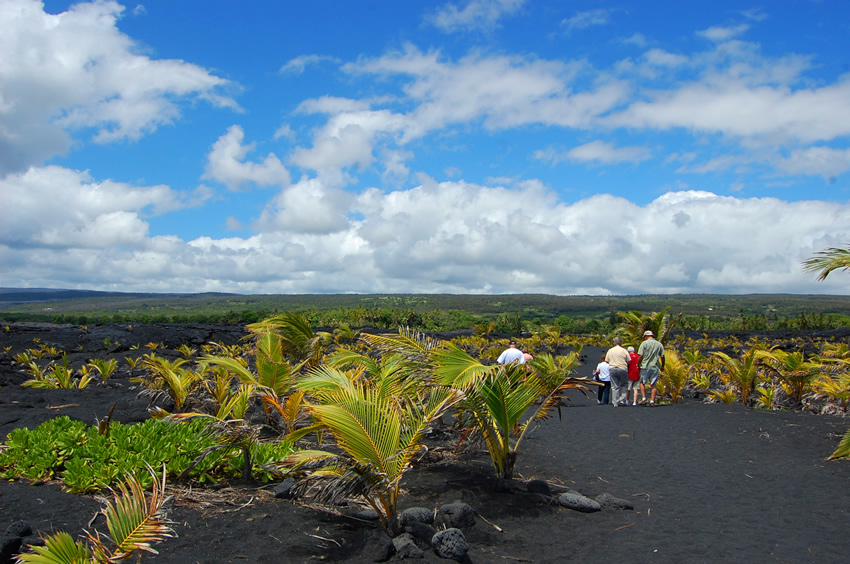 Kaimu Beach Eco Path