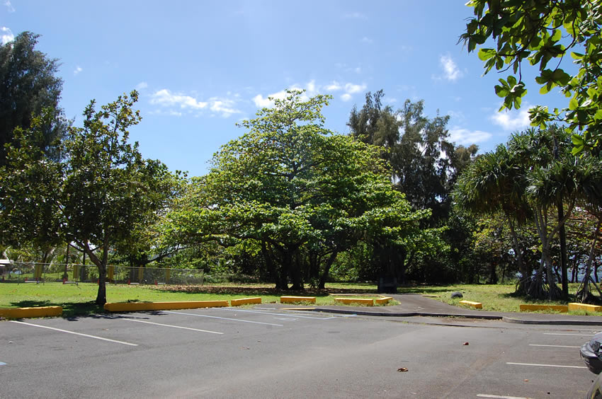 Parking Lot