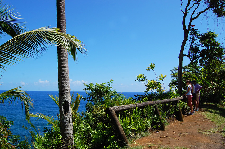 Scenic Lookout Point