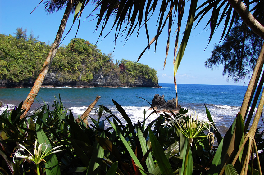 Tropical Vista