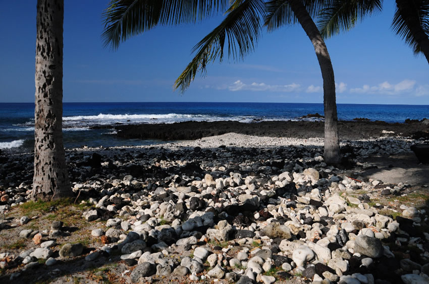 Rocky Area