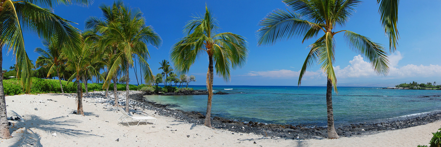 Pauoa Bay 4
