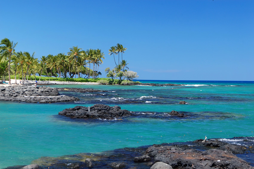 Pauoa Bay Amazing View