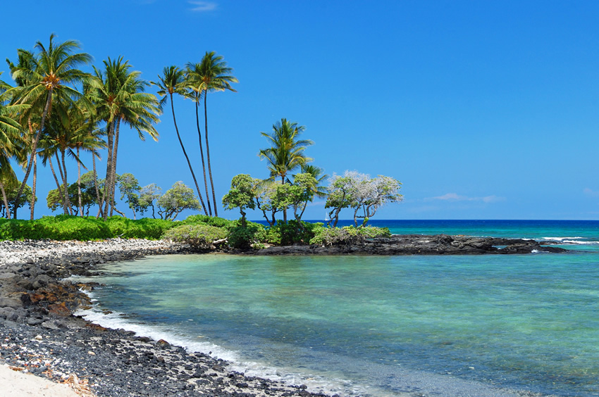 Picturesque Kohala Beach