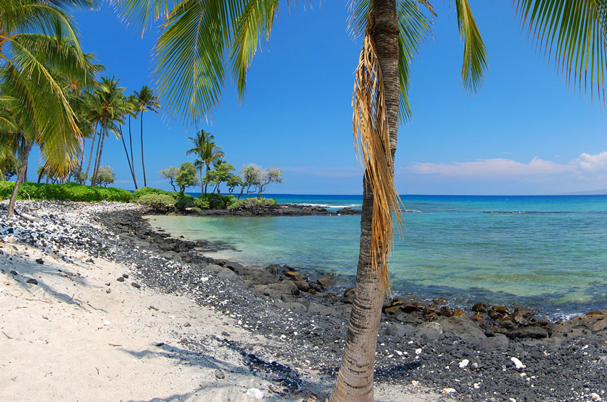 Rocky Shoreline