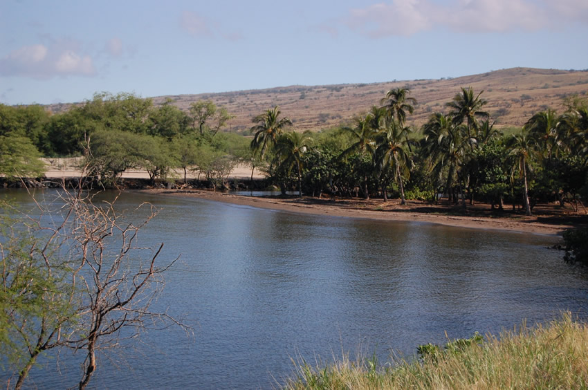 Hawaiian Sacred Beach
