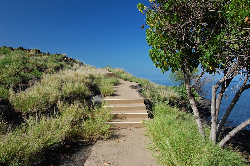 Trail Leading to Beach