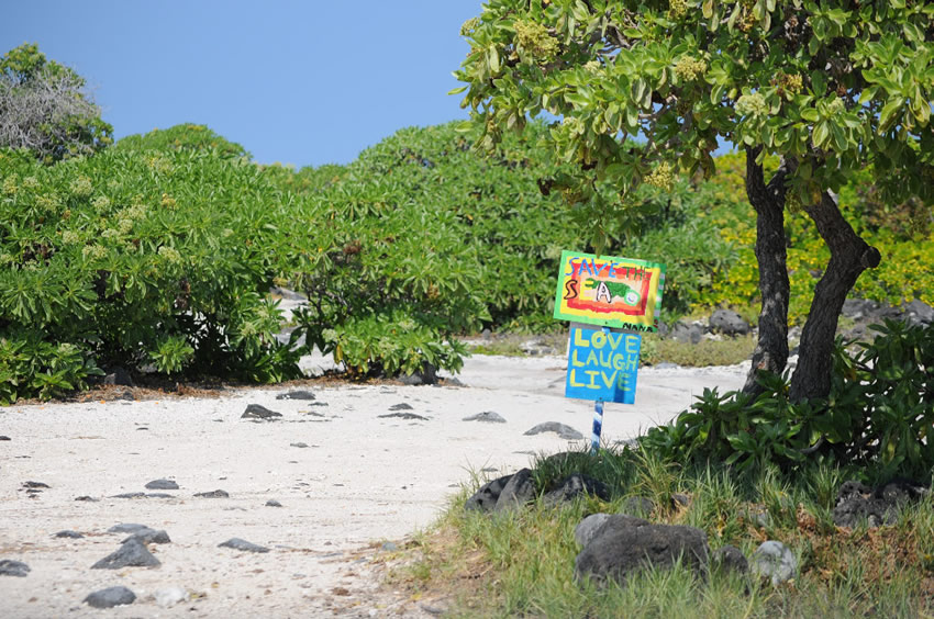 Surrounding Area
