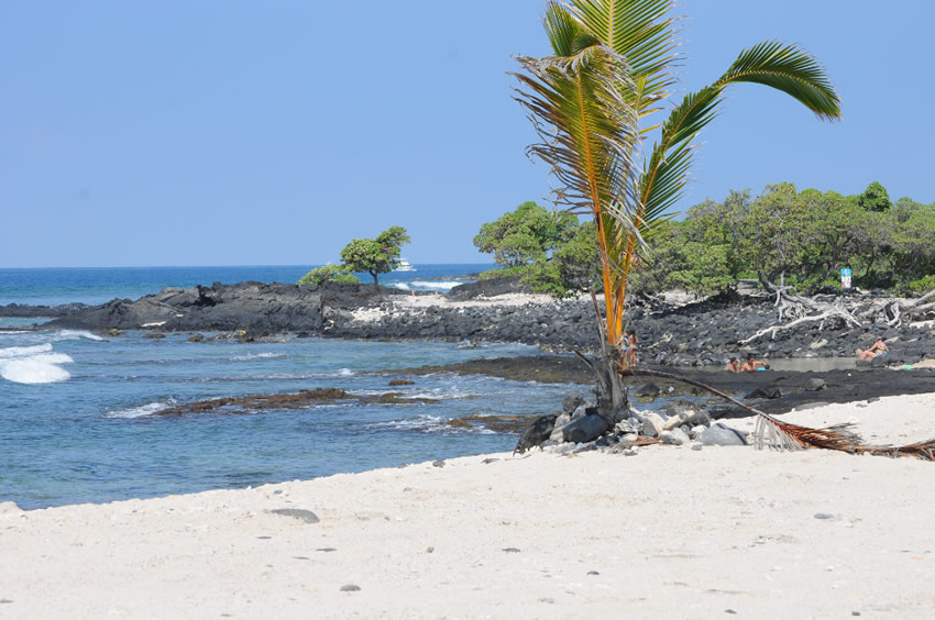Tropical Scenery