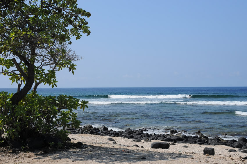View to the Ocean