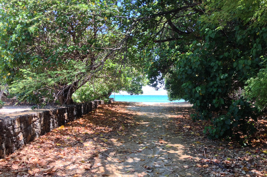 Beach Access Near Telephone Poll 120
