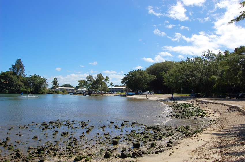 Rocky Shoreline