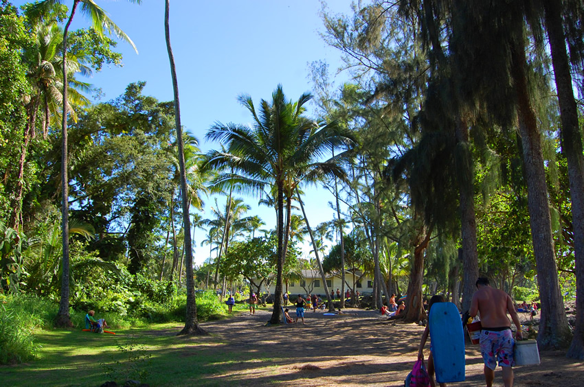 Park Area