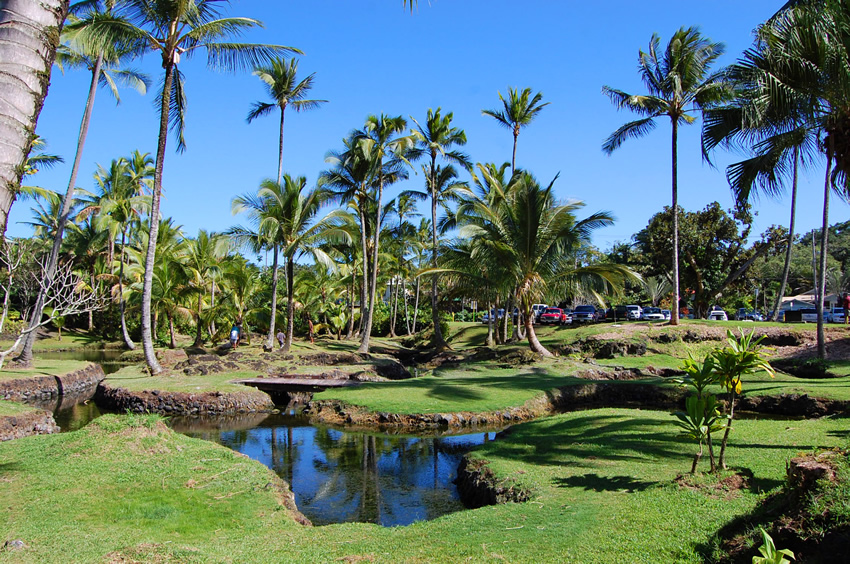 Richardson Park Fishpond