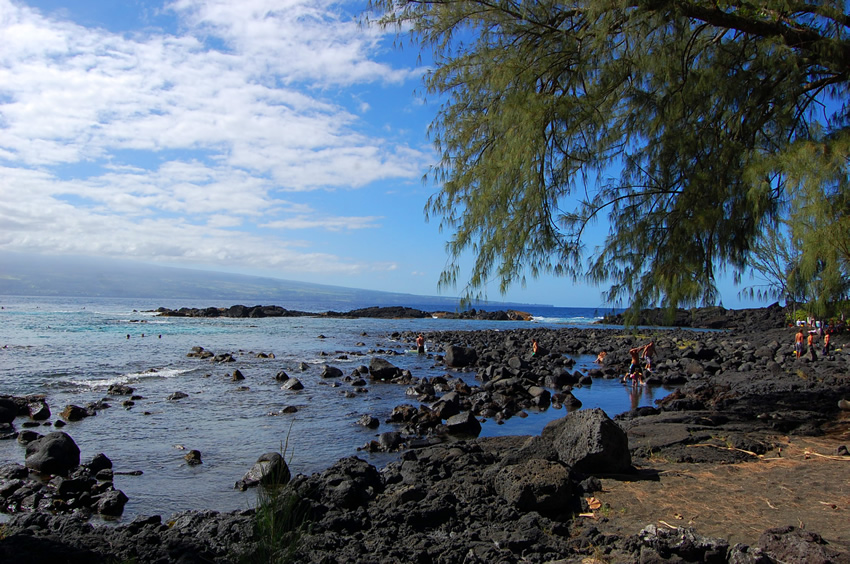 Rocky Shoreline
