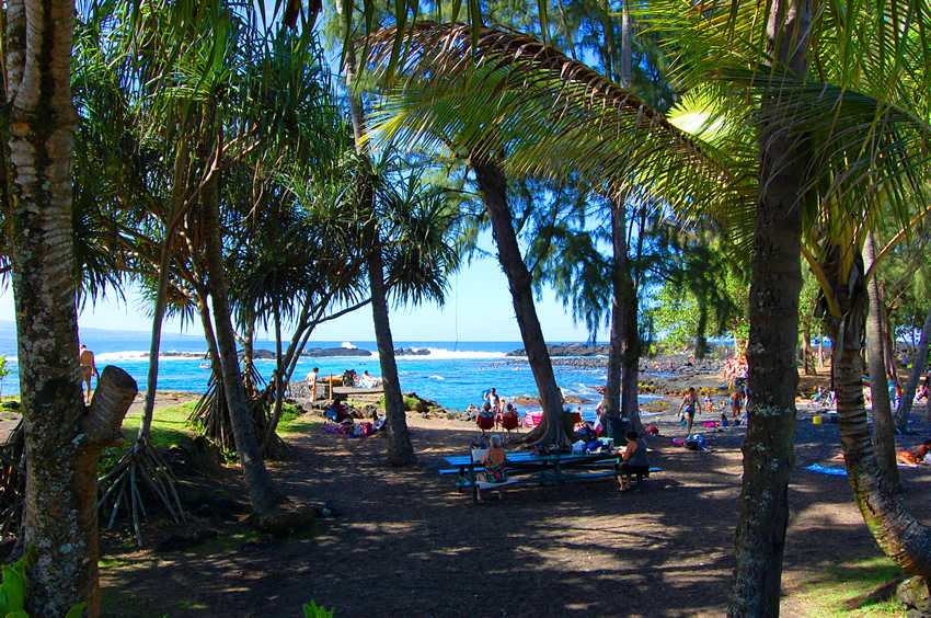 Small Park with Many Trees